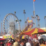 rides