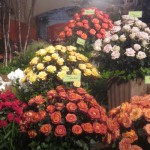 IMG_1614 IMG_1614