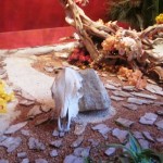 IMG_1622 IMG_1622