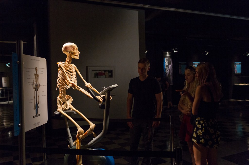 Learn About Our Anatomy at OUR BODY Exhibit – Hot Blog On A Stick